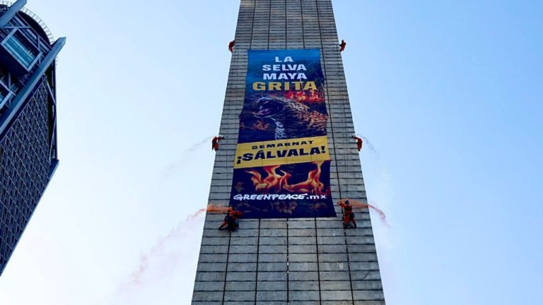 f1280x720-231841_363516_5655