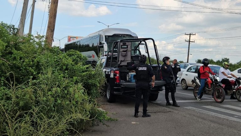 f1280x720-231872_363547_5050