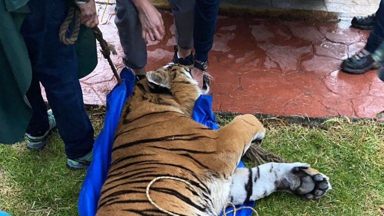 f1280x720-232193_363868_4821