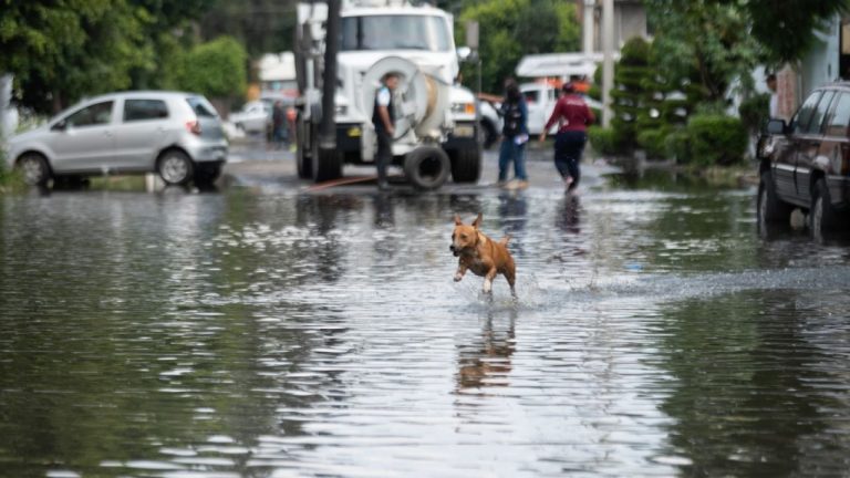 f1280x720-232215_363890_5452