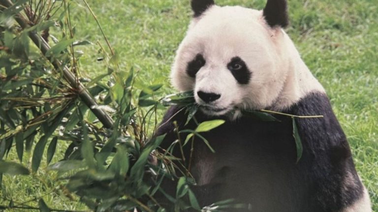 f1280x720-232261_363936_5050