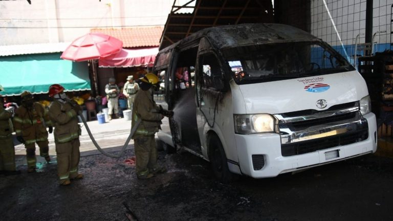 f1280x720-232347_364022_5050