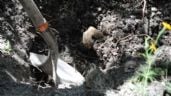 Foto ilustrativa de la nota titulada: Hallan fosa clandestina en Guanajuato; Fiscalía recupera 17 cuerpos