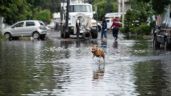 Foto ilustrativa de la nota titulada: Azotarán lluvias intensas con riesgo de encharcamientos e inundaciones entre lunes y jueves
