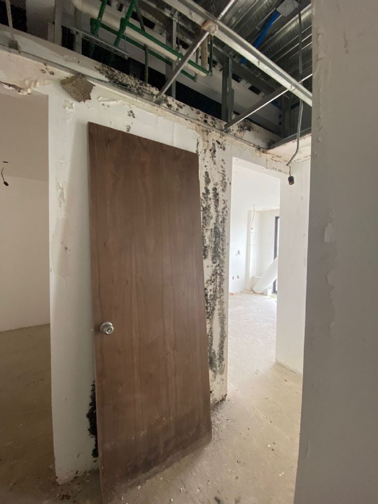 f768x1-231575_231702_5050