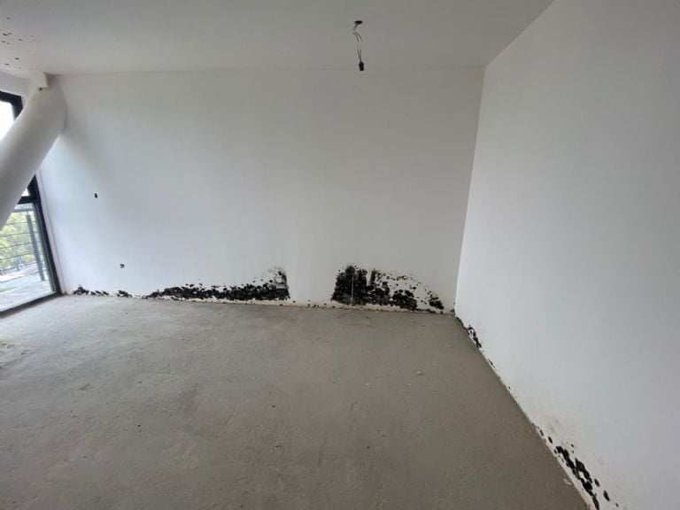 f768x1-231576_231703_5050