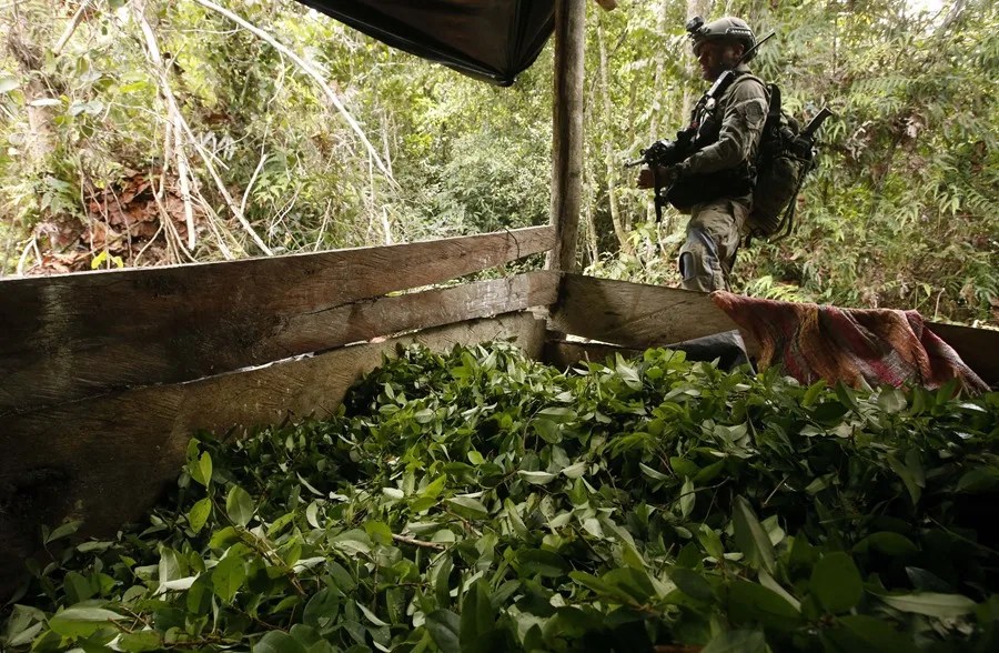 soldado_colombia_drogas Petro anuncia que Estados Unidos descertificará a Colombia en la lucha contra las drogas