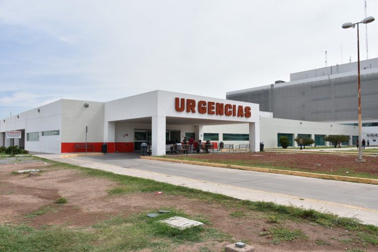 whatsapp-image-2025-06-02-at-12-22-22-pm