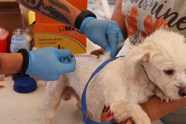 05fef7cc-62c4-4446-8703-f85f12b62013