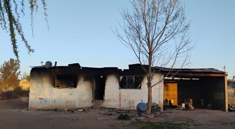 0c8c61d5-5d6a-435c-9f84-f74f416c95b6