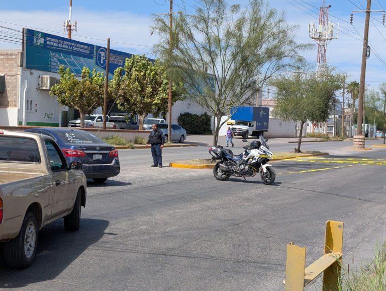 559173530_122251479602064490_1862149564923824350_n