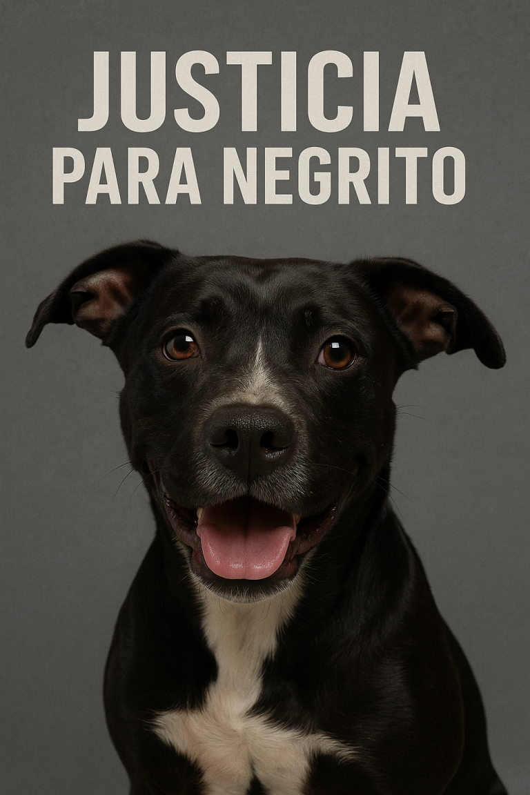 572fb4db-e7bf-4c10-afc3-68279bd9daa7