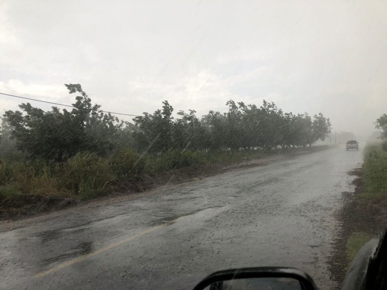 629cbd54-a3e1-43d8-8e7a-d1cf0705b849