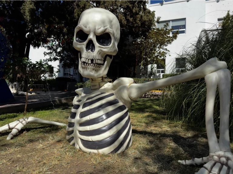 65db9660-3b70-4b3a-923f-28504a2f6bb0