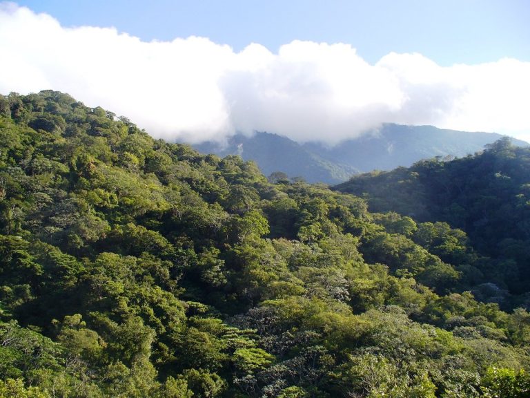 archivo_conanp__6__-_copia