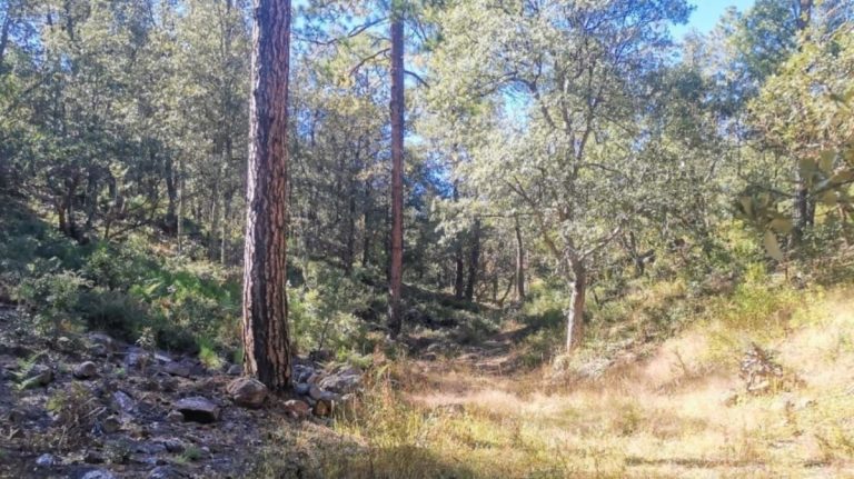 ba63f6b62f2eeda30e4e6e9321110405