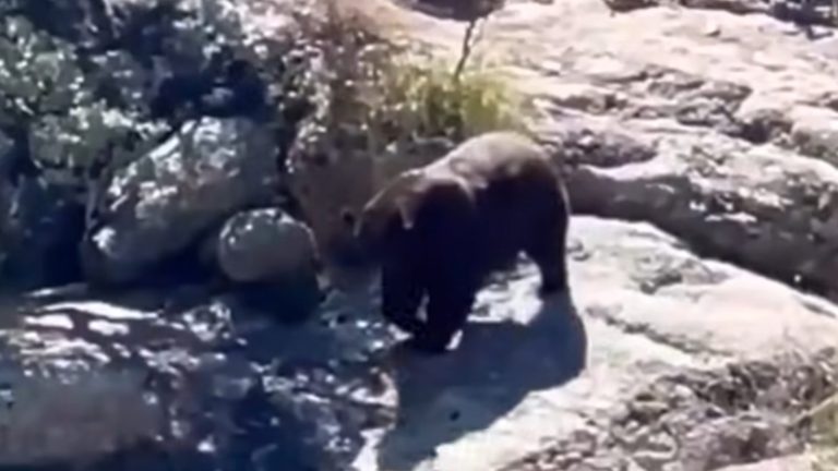 befunky_2025-9-1_8-20-40-scaled-1