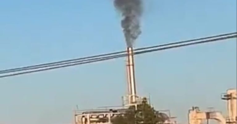 befunky_2025-9-2_6-24-57-scaled-1