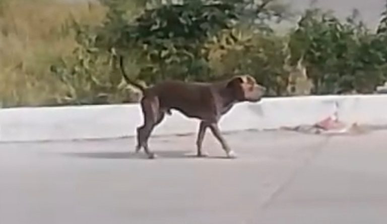 befunky_2025-9-4_8-17-44-scaled-1