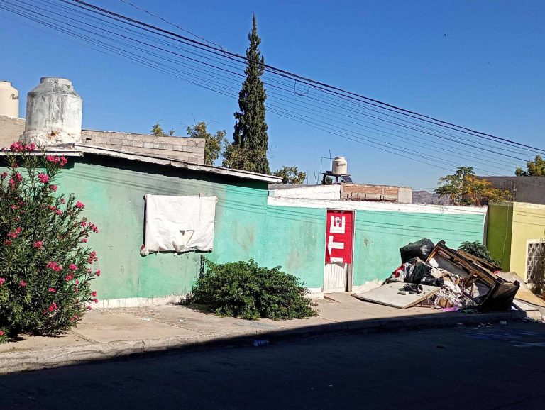 business-suite_creation_1863842907902514