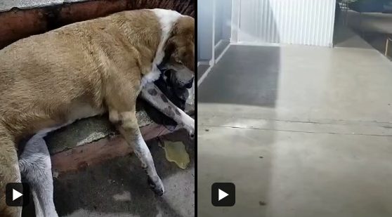 captura-de-pantalla-2025-10-15-205000