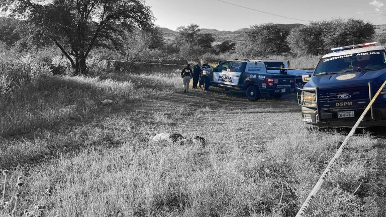 colorpop1760454798796