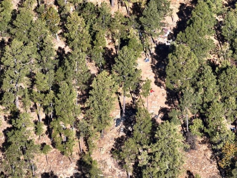 e1af0124-0ff6-4257-86b0-3348cb913814