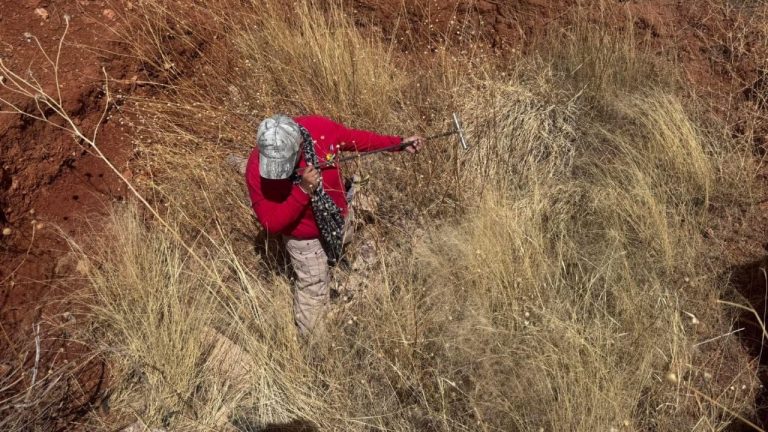 f1280x720-233116_364791_3658