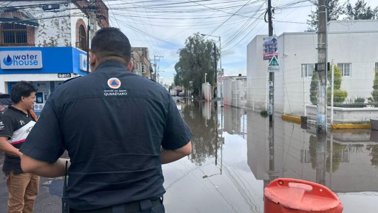 f1280x720-233173_364848_5050