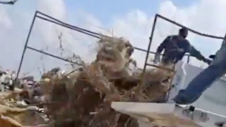 f1280x720-233177_364852_7553