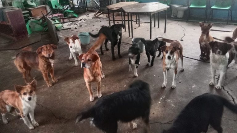 f1280x720-233217_364892_5461