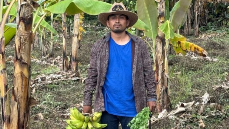 f1280x720-233272_364947_5244