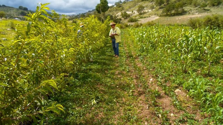 f1280x720-233540_365215_5050