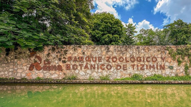 f1280x720-233684_365359_5050