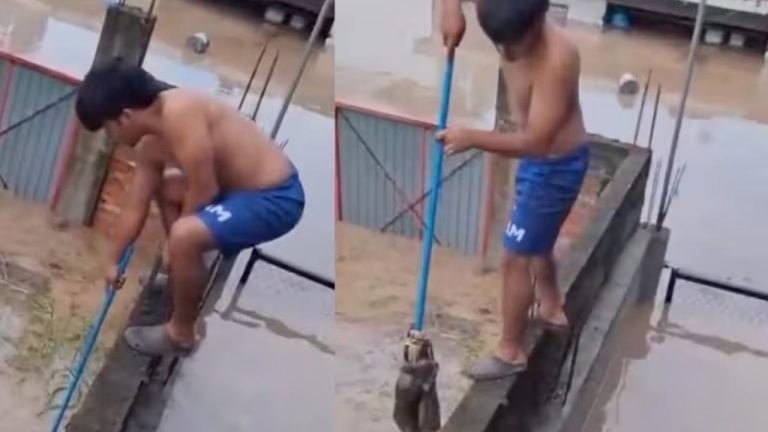 f1280x720-233783_365458_5050