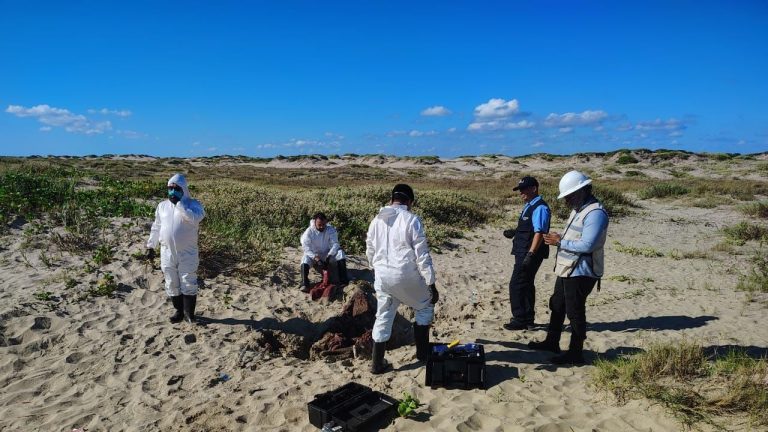 f1280x720-234221_365896_5031