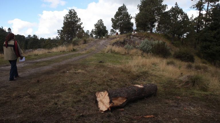 f1280x720-234417_366092_4785