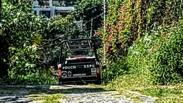 f1280x720-234456_366131_4469