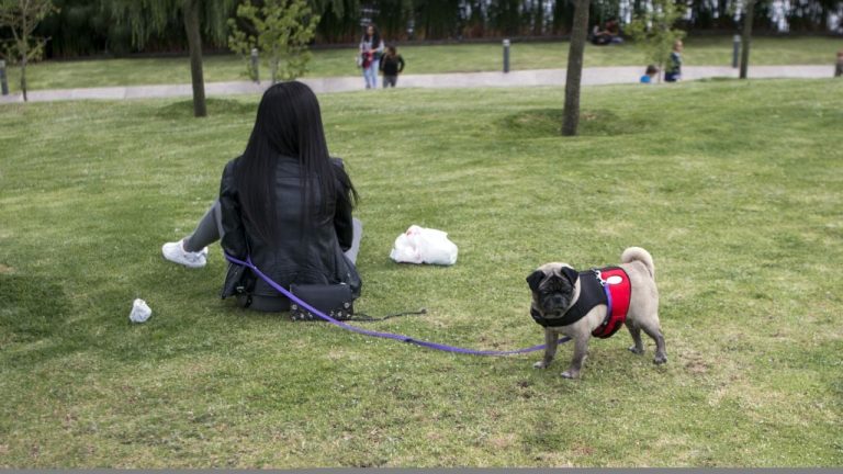 f1280x720-234559_366234_5638