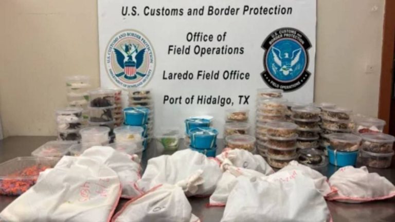 f1280x720-234566_366241_5050