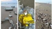 Foto ilustrativa de la nota titulada: Encuentran restos de un cohete Starship en una playa de Tamaulipas