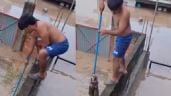 Foto ilustrativa de la nota titulada: Niño salva a un gato de las inundaciones en Poza Rica, Veracruz (Video)