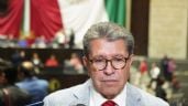 Foto ilustrativa de la nota titulada: Monreal: “Tenemos que exigir que haya presencia de diputados en comisiones y en el pleno”