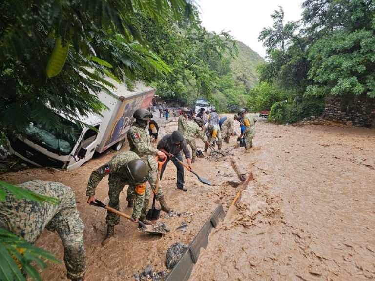 f768x1-233995_234122_5050