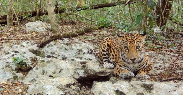 f768x400-233690_277593_7048