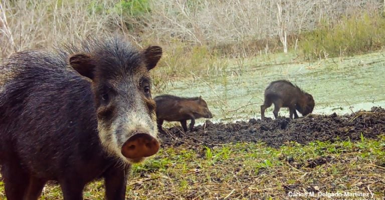 f768x400-233691_277594_5050