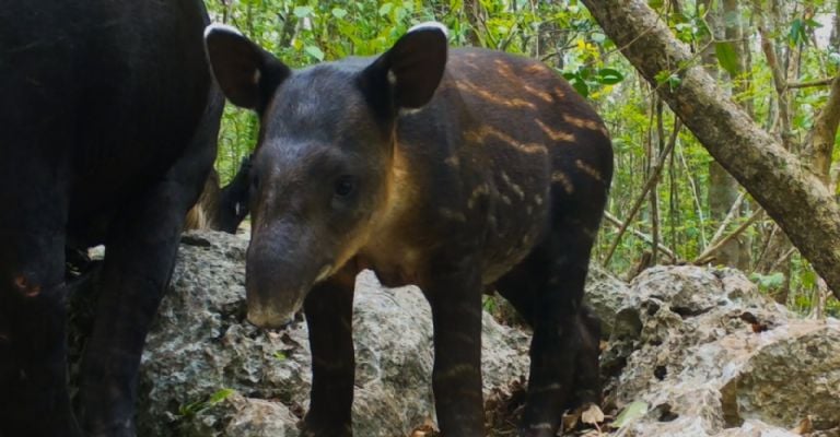 f768x400-233692_277595_4832