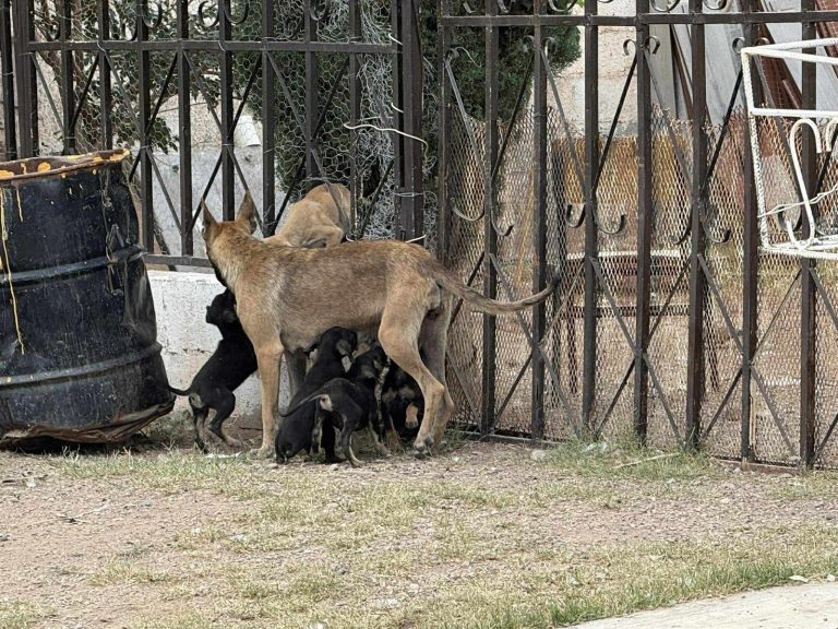 facebook_creation_168676581