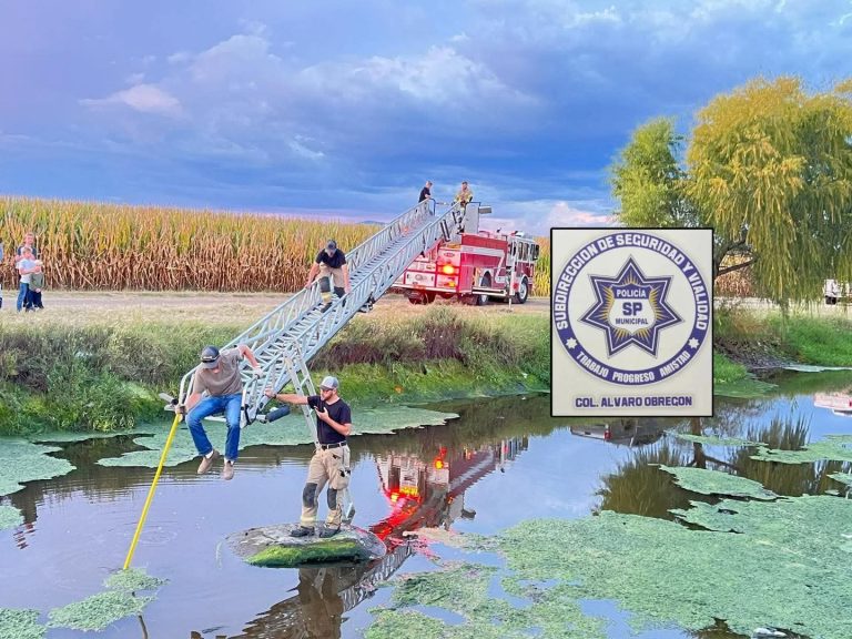 fb_img_1759376661598