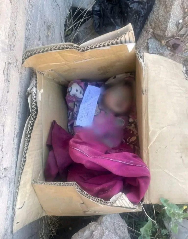 fb_img_1761614088351